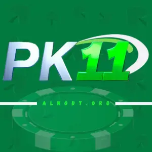 Paki11 Game